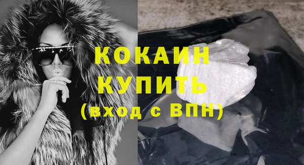 сатива Пересвет
