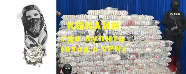 сатива Пересвет