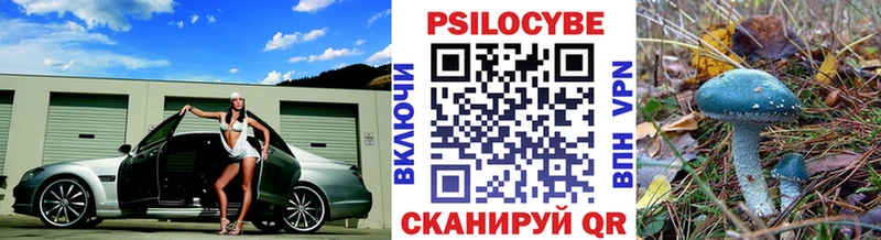 ссылка на мегу tor  даркнет клад  Суздаль  Галлюциногенные грибы прущие грибы  цена наркотик 